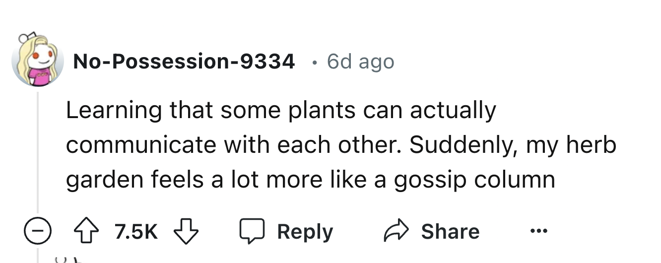 number - NoPossession9334 6d ago Learning that some plants can actually communicate with each other. Suddenly, my herb garden feels a lot more a gossip column